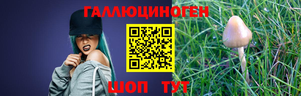 Псилоцибиновые грибы Psilocybe  Псилоцибиновые грибы Cubensis  Вход с VPN  Городец 
